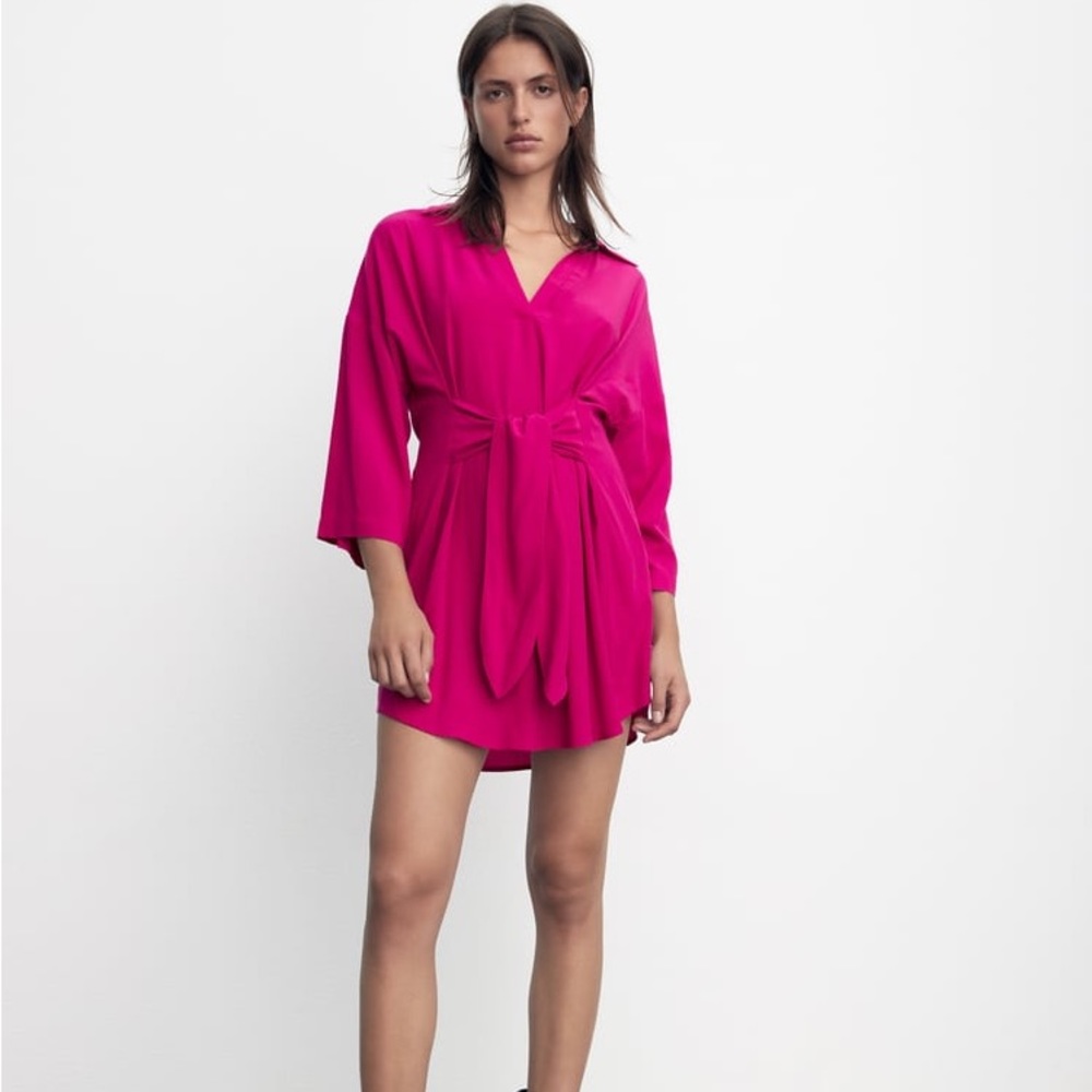 Zara Pink Tie Shirt Dress